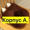 Фото превью товара - #3