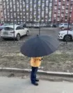 Фото превью товара - #3